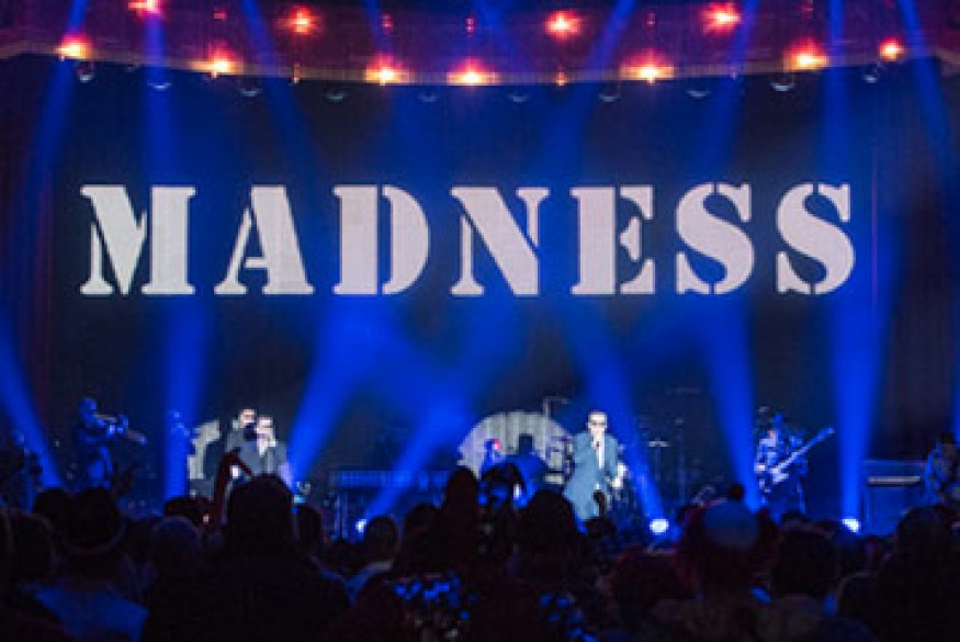 Madness With New Music Announcing Album